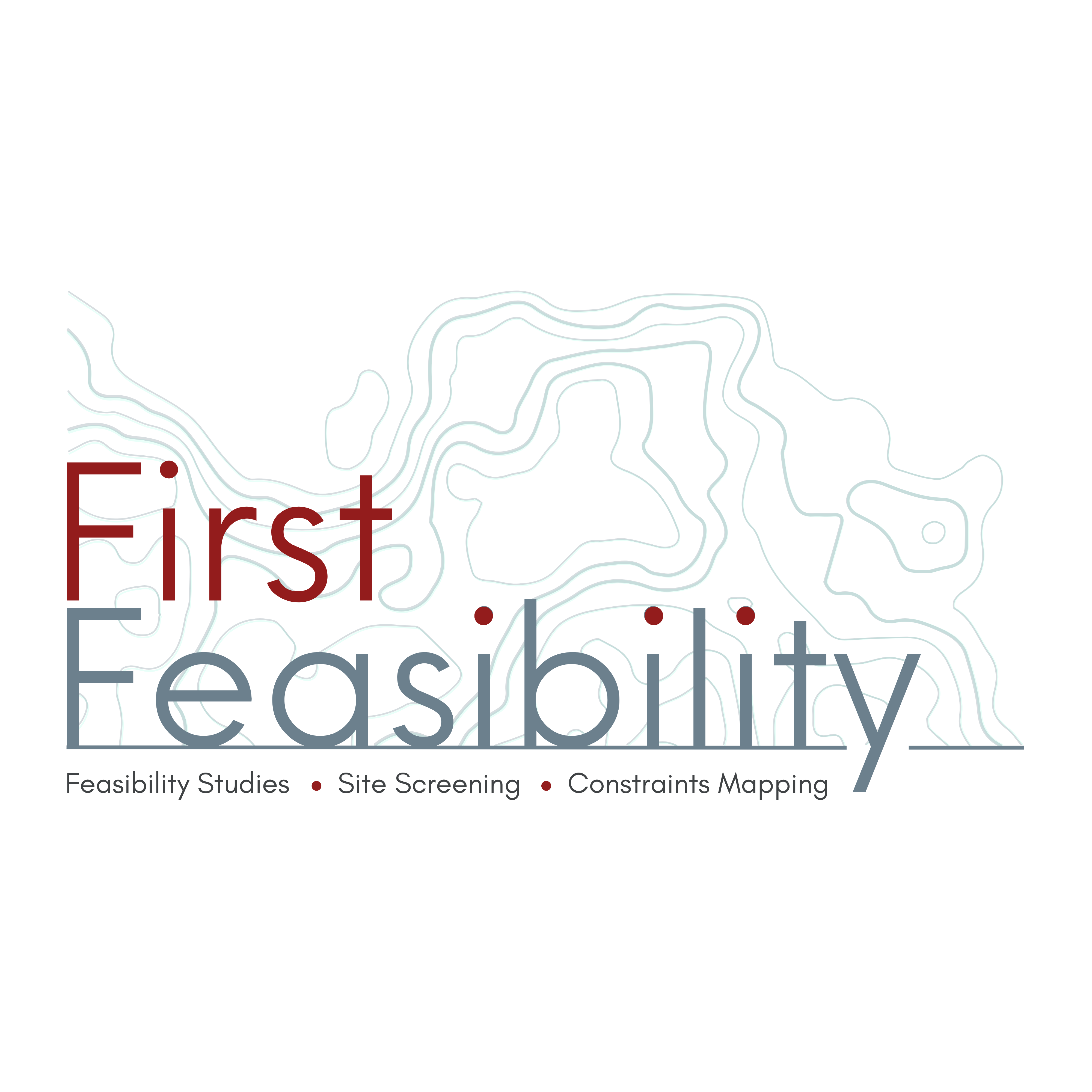 First Feasibility Logo